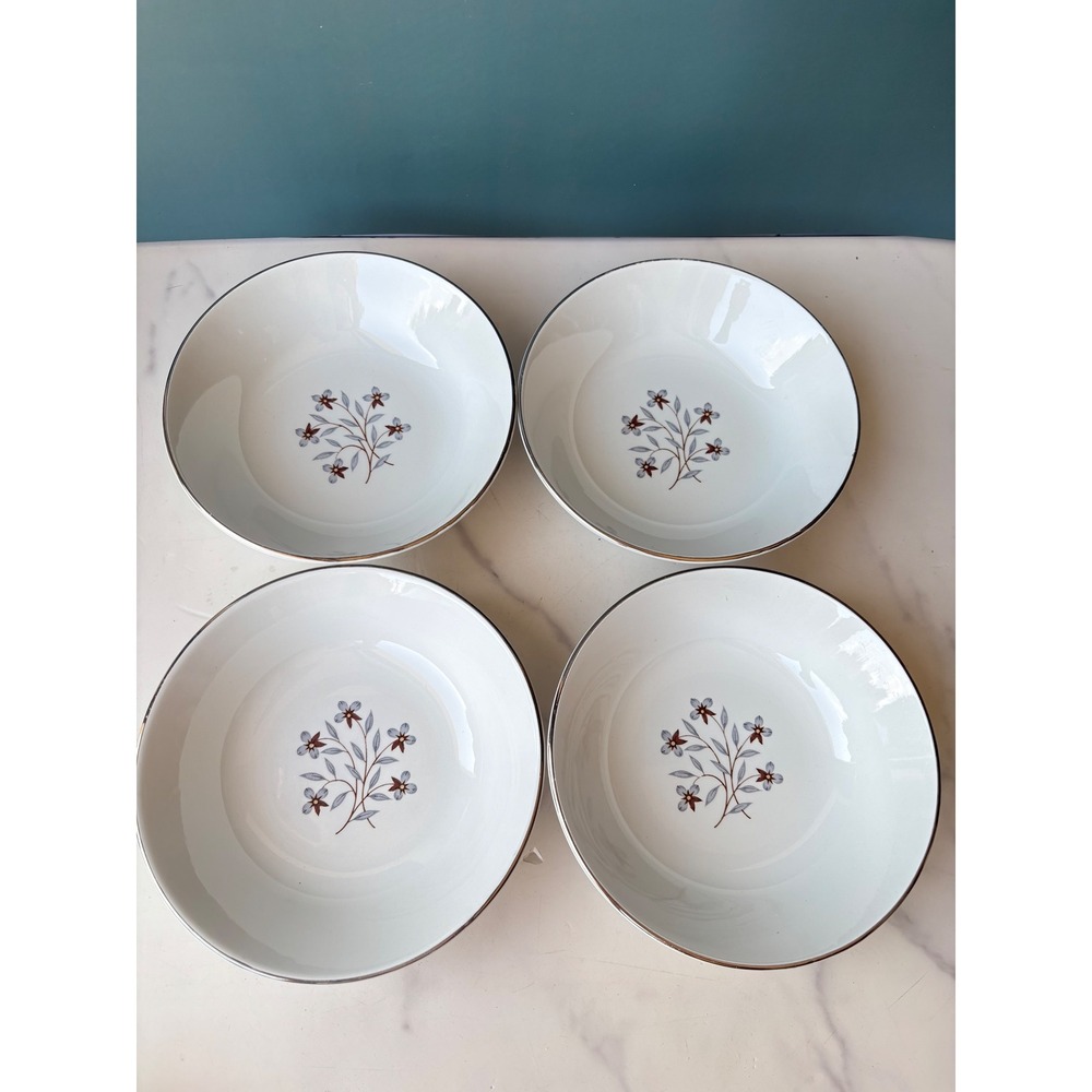 Salem England International Ironstone Whimsey Soup Bowls 4 Pc Floral